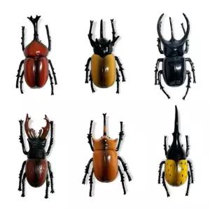 곤충 컬렉션모형교구 인형 피규어 규어 장난감