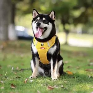 초경량 옥스포드 손잡이 하네스강아지옷 애견가슴줄 산책용품 반려동물 가슴 조끼