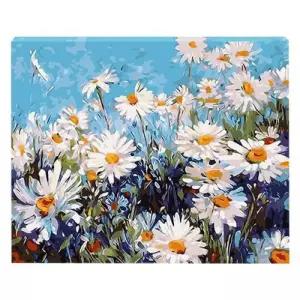 DIY 명화그리기 유화 페인팅 데이지와 하늘 40X50그림취미 세트 그리기 DIY키트 홈생활 재료