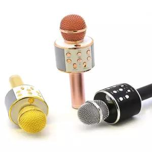 자광 무선노래방 블루투스 마이크 힐링토이스피커 집순이 돌이 방콕