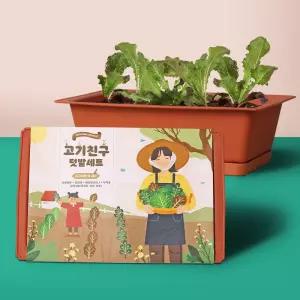 홈파밍 쌈채소 미니 텃밭 만들기 키트 상추 쑥갓 적겨자 키우기 세트