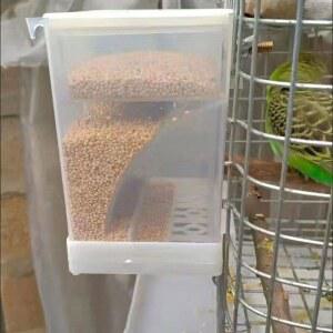 앵무새 자동 조류 새급식기 대용량 새모이통 모이공급기 스마트 앵무새놀이터