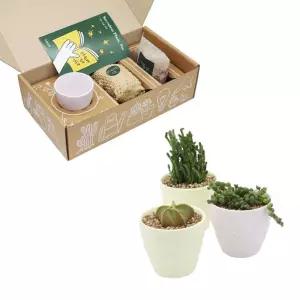 파스텔 도자기 화분 다육식물 세트인테리어 거실 실내 미니