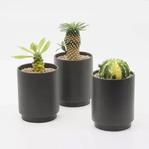 키우기쉬운 플랜테리어 집들이선물 블랙 다육식물키트이화분 이세트 반려 미니 키우기 에서키우기쉬운 식물