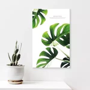 감성 식물 캔버스액자 몬스테라거실 카페 북유럽 인테리어소품 포스터 벽걸이 그림