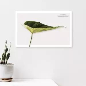 식물 캔버스액자 그린잎인테리어그림 거실 카페 북유럽 소품 포스터 벽걸이