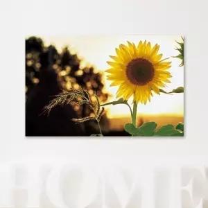 자연풍경 캔버스액자 해바라기 추억인테리어그림 홈인테리어 벽걸이용 아트