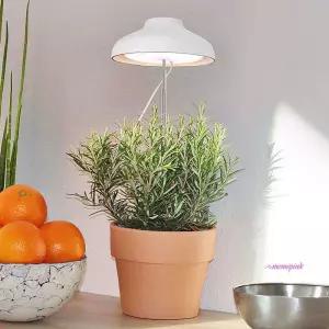 우산 식물등 성장등 생장등 LED 조명 LED식ssu768