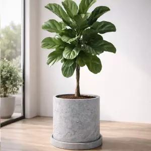 빈티지 시멘트 실린더 원형 화분 XL 18x20cm 라이트그레이인테리어 원예 베란다 디자인 물구멍 카페 꽃화분