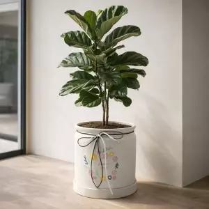 모던 원형 도자기 화분 해피니-스 팟 L 18x20cm인테리어 원예 베란다 디자인 물구멍 카페 꽃화분 식물 분배