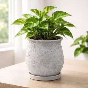 빈티지 워시드 토분 단지 L 17x22cm인테리어화분 원예 베란다 디자인 식물 물구멍 꽃화분 분배