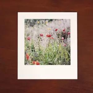 종이액자 5X5 화이트 10장 페이퍼 사각 장식용 인테리어 벽액자 사진 포토