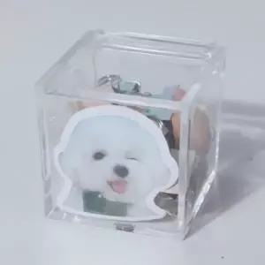 (색상 투명케이스5x5x5)투명정리함 화장대 약 인형 마테 다꾸 보관함 보관함5x5x5