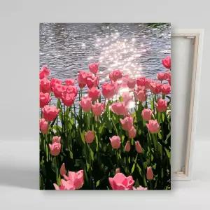 DIY 호수와 튤립 40X50 캔버스 그림그리기 페인팅DIY명화그리기 그리기 해바라기 유화꾸미기 DIY키트 그리