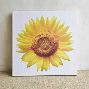 금전운 풍수 해바라기 캔버스 그림 액자 2종 60x60