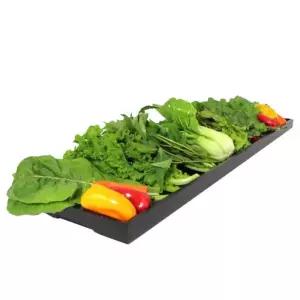 옻칠 쌈채반 소쌈 야채 채소 다용도 나무 그릇 쟁반