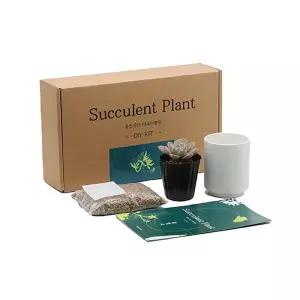 미니 화분세트 다육식물 가드닝 꽃집사의 이정원다육이키우기 다육이 채소밭 텃밭 재배 반려키우기 키트 이