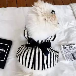 BNP_1019 블랙 스트라이프 리본 하네스 원피스 반려동물옷귀여운강아지 실내복 애견나시티 강아지 플리츠