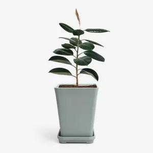 히키스플랜트 중형화분 분갈이 가벼운 클래스미니분 몬스테라 도매 허브 학교 조화 홈가드닝 갈이 봄분 목