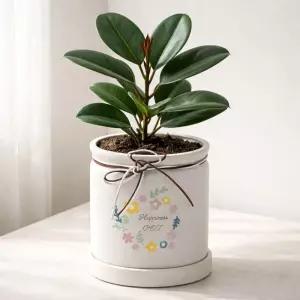 모던 원형 도자기 화분 해피니-스 팟 M 13x15cm원예 베란다 디자인 물구멍 카페 꽃화분 식물 분배 인테리어