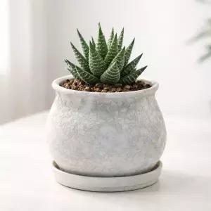 빈티지 워시드 토분 단지 S 14x14cm원예화분 베란다 디자인 식물 물구멍 꽃화분 분배 인테리어