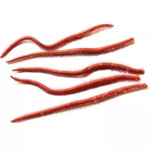 파워웜 바이칼 갯지렁이 홍개비청개비낚시베이트 루어 소프트 미끼 루어용