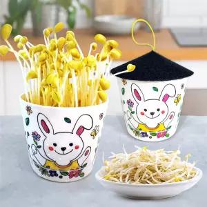 나만의 콩나물 키우기 화분 키트(5인묶음포장)DIY 만들기 자연관찰 체험학습 과학영역 기르기 나물콩 식물