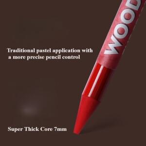 우드리스 파스텔 연필 24색 7mm 코어 아티스트 등급 분필 숯 케이스에 훌륭한 블렌딩 및 레이어링 스케치