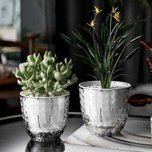 자동 급수 화분 흡수 투명 이중 플라스틱 다육 식물 장식