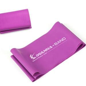 [2개구성] 아이워너 라텍스밴드 퍼플전문가용 운동 피트니스 테스 고무 EW8D316B