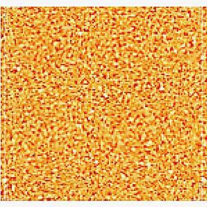 [2개구성] 5x600x900mm 화방 디자인용품 우드보드 폼보드 xxmm 밸런스보드 발란스보드 GJWB813D2