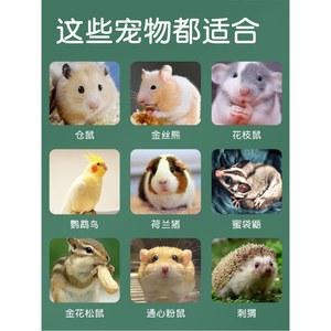 햄스터 자동 급이기 토끼 밥그릇 뒤집힘 방지 대용량 사료 급식기