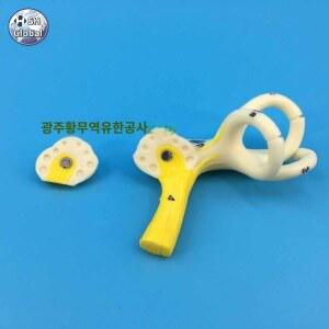 인체구조 교육보조도구 모형 세반고리관 귀세관 달팽이관 인체 단일