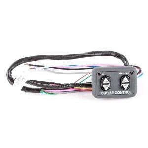 로스트라 블랙 대시 마운트 크루즈 컨트롤 스위치, 푸시 버튼, 2단계 위치, 수동 작동