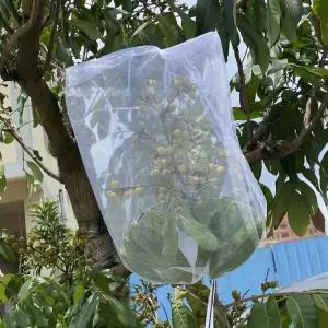과일망 과일 그물망 싸개 과수원 포장 포장용 100개