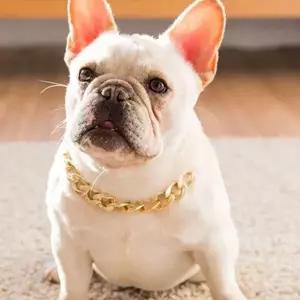 강아지 금목걸이 불독 체인 반려동물 고양이 촬영 소