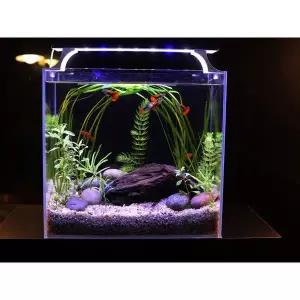 와이이아쿠아 36cm무환수 무여과 올디아망 높은어항 (베타키우기, 새우키우기, 구피세트)
