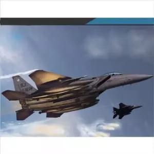 아카데미과학 미공군 F15E 333전투비행대