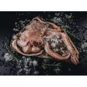 청정 남해 통영 활 돌문어 1.5kg (1-3미)