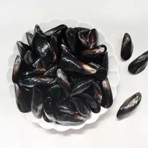 [남해촌놈들] 산지직송 국내산 홍합 2kg