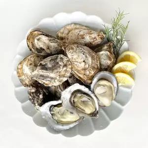 [남해촌놈들] 산지직송 프리미엄 생굴 석화 개체굴 4kg