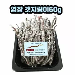 갯지렁이60g바다선상미끼낚시용 염장