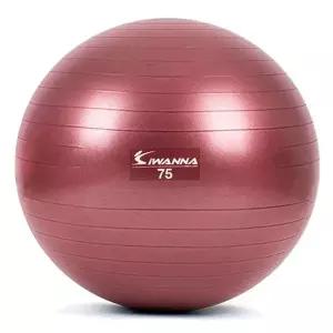 짐볼 짐볼 75cm (루비 와인) 마사지볼 마사지짐볼