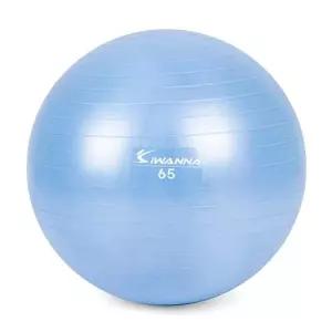 짐볼 짐볼 65cm (라벤더 블루) 마사지볼 마사지짐볼