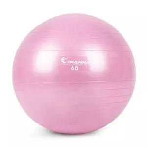 짐볼 짐볼 65cm (라일락 퍼플) 마사지볼 마사지짐볼