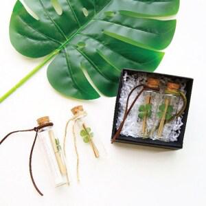 SANS 네잎클로버 행운의 편지 유리병