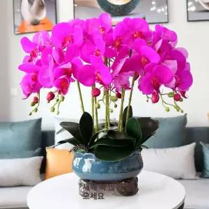 행운 호접란 조화 가드닝 테이블 서양란 사무실 선물