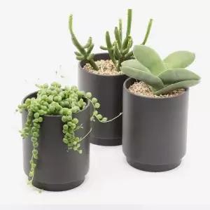 화분 다육식물 도자기 분갈이용 인테리어 블랙 대형