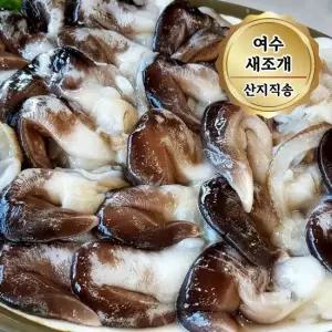당일조업 여수 손질 새조개 특품 500g 빙장포장