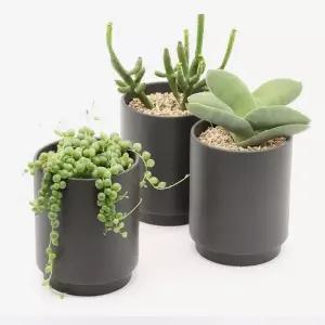 [RIZPICK]화분 다육식물 도자기 분갈이용 인테리어 블랙 대형